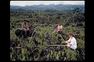 In The Field Collection: RBG Kew expedition to Cameroon