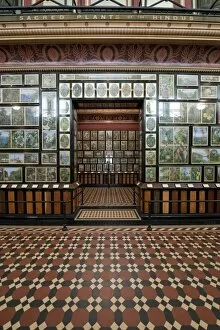 Images Dated 30th June 2011: Restored Marianne North Gallery Interior