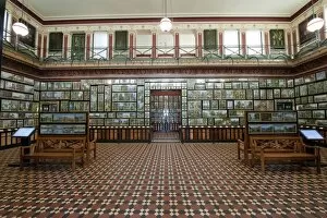 Images Dated 30th June 2011: Restored Marianne North Gallery Interior