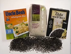 Images Dated 19th June 2008: Rice products