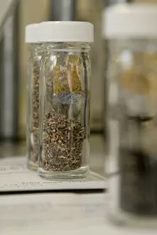 Seeds in jars ready for banking