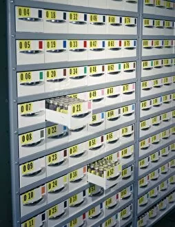Freezer Gallery: Seeds stored at the Millennium Seed Bank