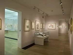 Contemporary Gallery: Shirley Sherwood Gallery of Botanical Art