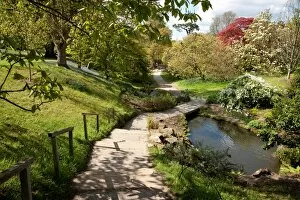 Path Collection: The Slips at Wakehurst Place