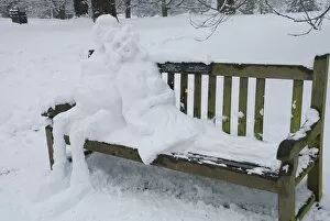 Bench Collection: snow couple