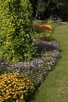 Floral gardens Gallery: summer bedding