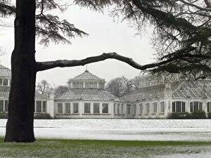 Glasshouses Collection: Temperate House
