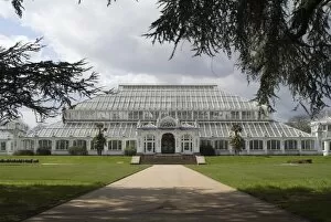 Blue Sky Collection: Temperate House