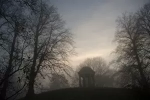 Tree In Mist Collection: Temple of Aeolus