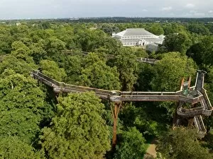 Architecture Gallery: Tree top walkway