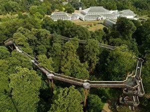 Architecture Collection: Tree top walkway