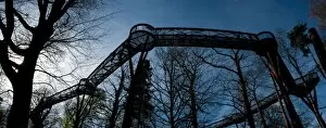 Architecture Collection: Tree top walkway panorama