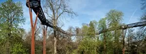 Blue Sky Collection: Tree top walkway panorama