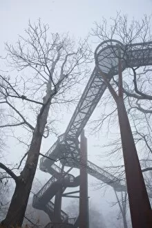 Images Dated 11th December 2013: treetop walkway in the mist
