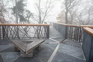 Mist Gallery: treetop walkway in the mist