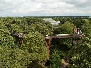 Images Dated 7th July 2009: The Treetop Walkway, RBG Kew