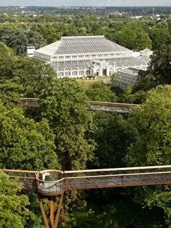 Trees Gallery: Treetop walkway and Temperate House