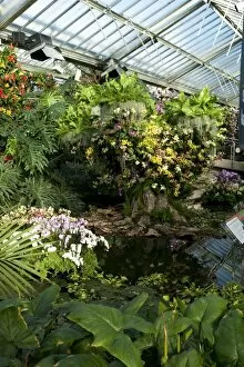 Glasshouses Gallery: Tropical_extravaganza