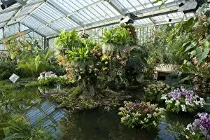 Glasshouses Collection: Tropical_extravaganza