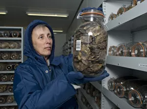 Kew Gardens Collection: Vaults at the Millennium Seed Bank
