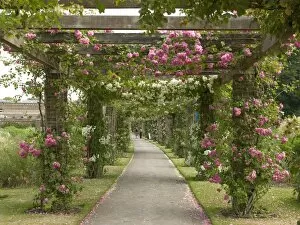Floral gardens Collection: view through the pergola