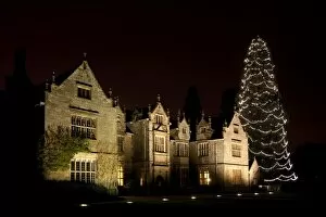 Wakehurst Mansion and Christmas Tree at night