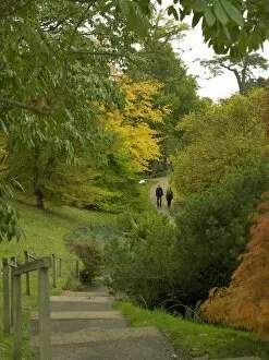 The Gardens Collection: Wakehurst Place