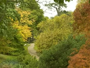 Natural gardens Gallery: Wakehurst Place