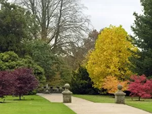 Natural gardens Collection: Wakehurst Place