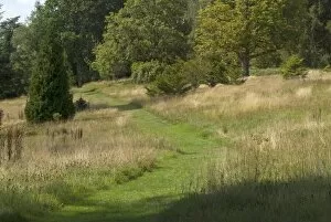 Natural gardens Collection: Wakehurst Place