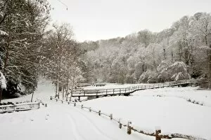Wakehurst Place in the snow