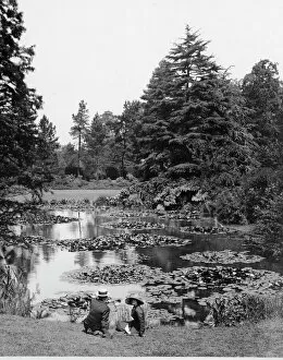 Botanic Garden Gallery: Waterlily Pond, Royal Botanic Gardens, Kew, ca 1900