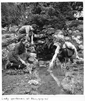 Monochrome Gallery: Women gardeners, The Rock Garden, RBG Kew, World War II
